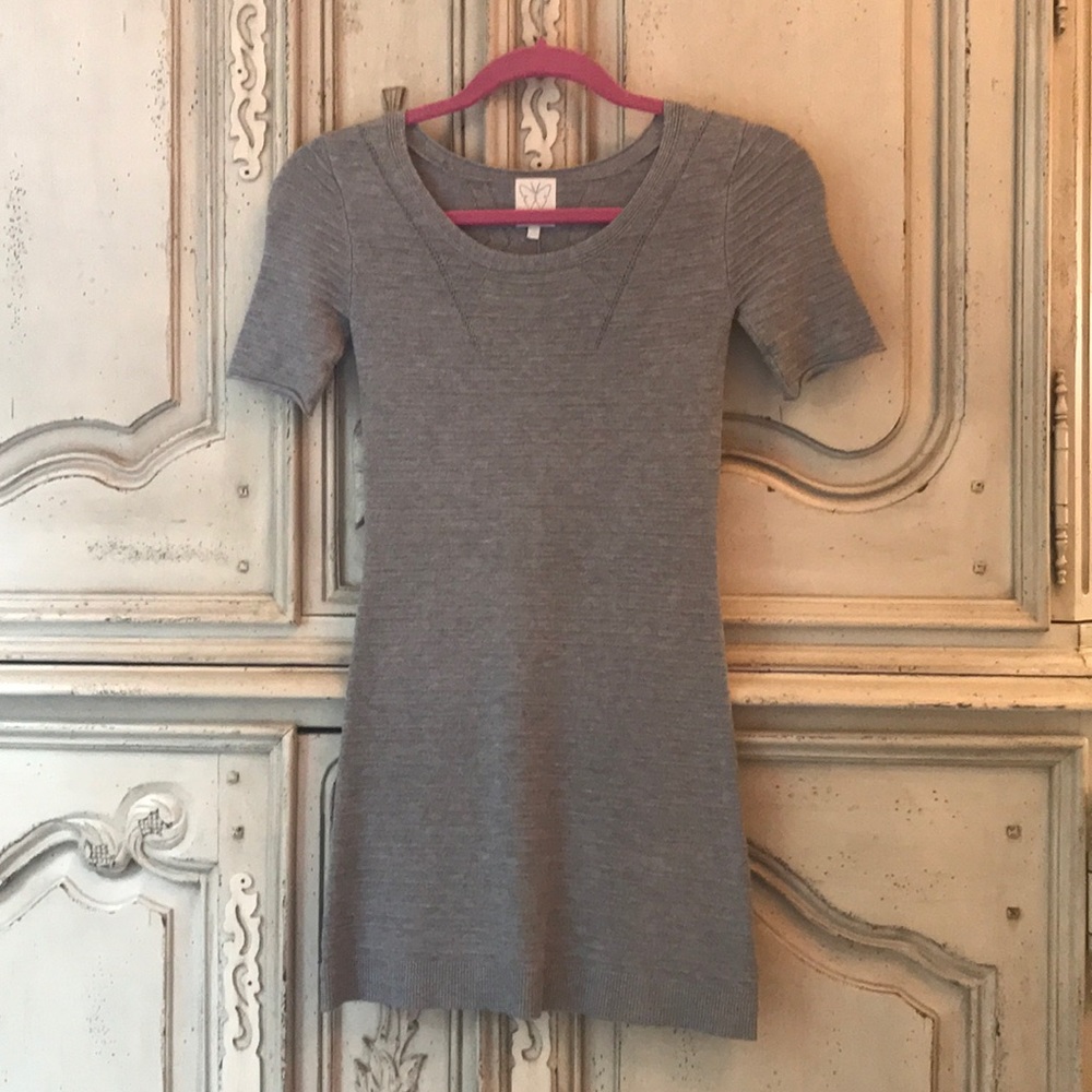Gray fitted Ella Moss dress! Size small.